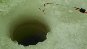 Рыбалка на Вышневолоцком водохранилище. | Рыбалка на леща |