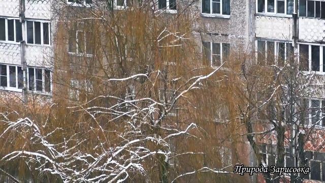 А ЗА ОКНОМ ЗИМА | Идет Снег и ПАДАЮТ СНЕЖИНКИ | Красивое видео и ЗИМНИЙ ПЕЙЗАЖ