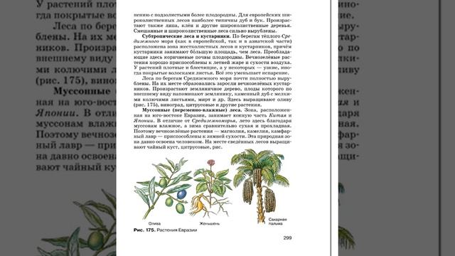 География 7к (Душина) §52 (Евразия) Природные зоны смотреть онлайн