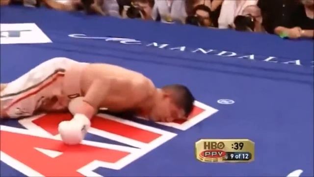 Топ богатых боксеров смотреть онлайн