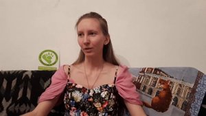 Как подружить нового кота или кошку. Опыт сдруживания животных.