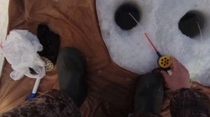 Рыбалка на реке алей. Рыбалка на тесто