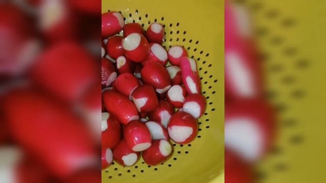 Заморозка редиса на зиму смотреть онлайн