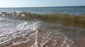 Плюсы и минусы Голубицкой. Рыбалка на Азовском море .База отдыха Дружба  часть 2.