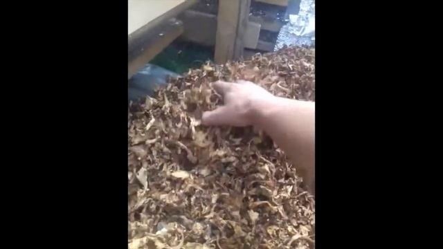 Презентация Сушеные Грибы смотреть онлайн