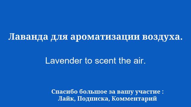 10 минут, чтобы овладеть английским языком: выучите слова и фразы смотреть онлайн