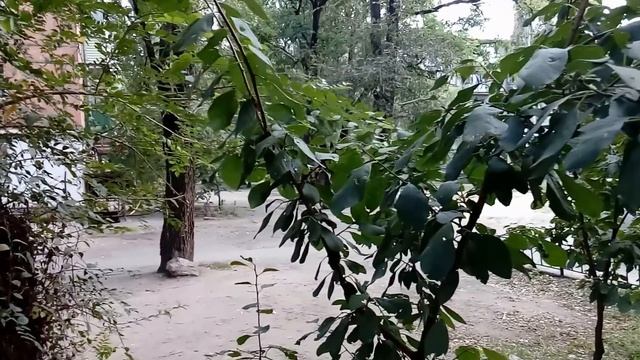 Тест камеры Lenovo K3 Note, K50-a50, k50-t5 1920x1080px camera test смотреть онлайн