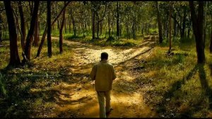 ЛУЧШАЯ ПЕСНЯ Две Дороги Два пути....