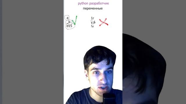 правила именования переменных в python