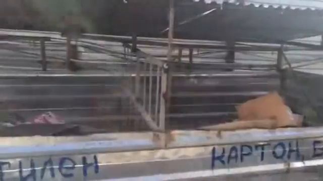 Lean улучшение по сбору полиэтилена и картона ЖК PROMENADE EXPO блок С 26 02 2016 смотреть онлайн