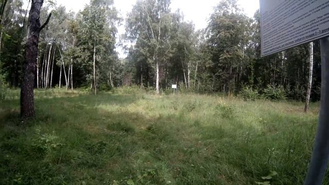 куда сходить бирюлевский дендропарк.интересное место