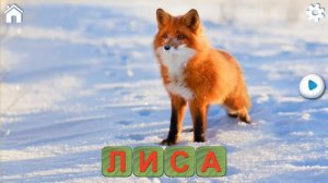 Учись читать,спасай зверей для самых маленьких (серия 2)