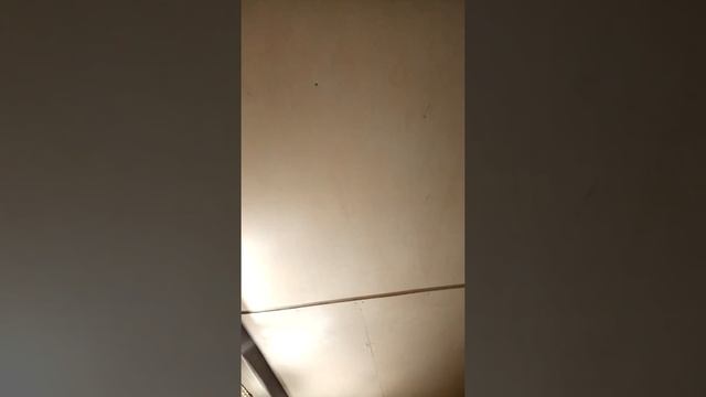 Стены из фанеры под "Видароном" смотреть онлайн