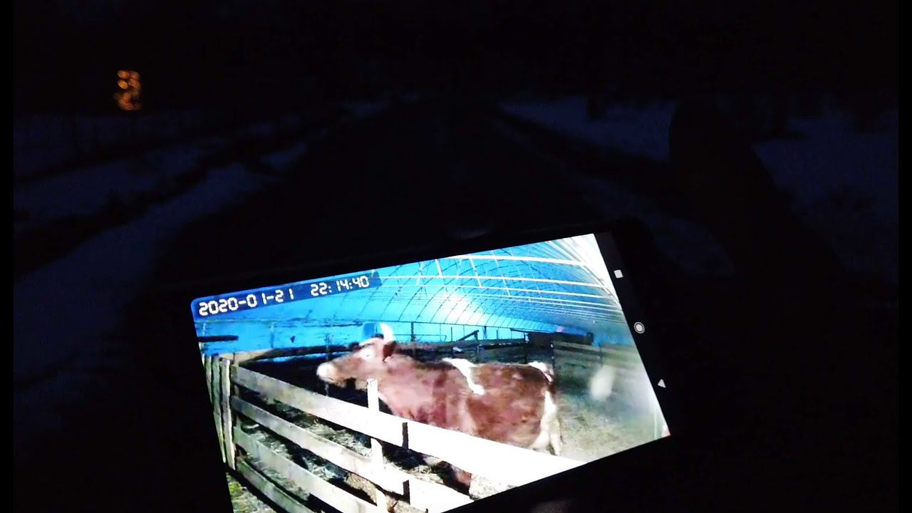 Камеры видеонаблюдения в хозяйстве