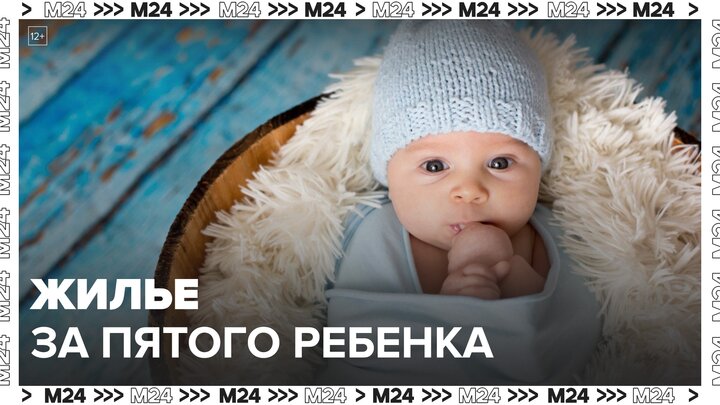 Многодетным семьям в РФ предложили давать жилье за пятого ребенка - Москва 24