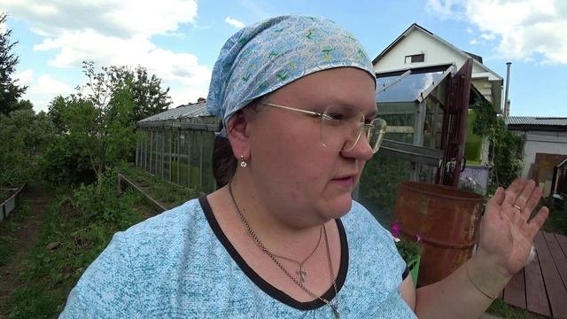 Размножение садовой земляники