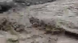 Селевой поток в Аркасе