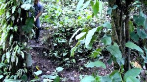 ENEMIGO IMPLACABLE 🎬 PELICULA Completa en español 🎥 Peña Producciones