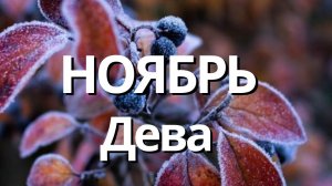 ДЕВА НОЯБРЬ 2023 [Таро прогноз]