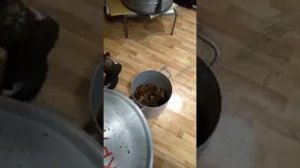 Лёгкий способ извлечения перги из сот!