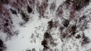 КВАДРОКОПТЕР F11S 4K PRO