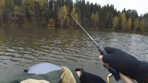 Black Hole SWIFT, OSP Varuna. Рыбалка. Щука. Октябрь
