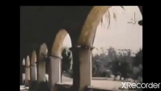 50 - это много или мало?!