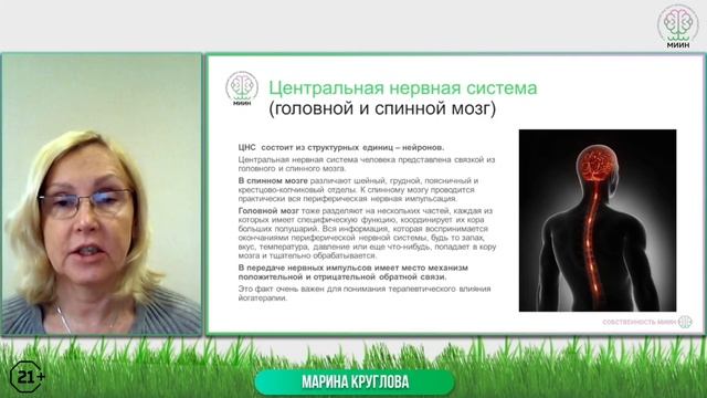 Здоровье человека. Нервная система человека. Строение нервной системы.
