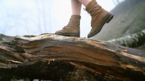 NBSPLV — Ascension