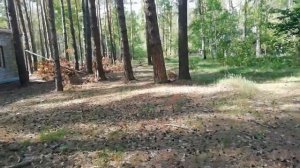 КОП В ЗАБРОШЕННОМ ПИОНЕРЛАГЕРЕ. КУЧА МОНЕТ. КОШЕЛЁК , КРИМИНАЛ.!!!!????