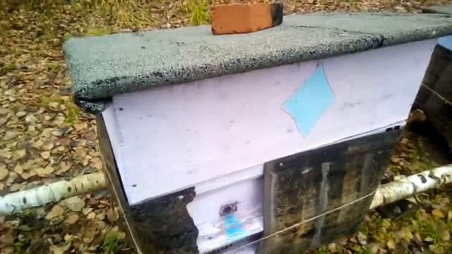 Простой утеплитель для ульев в зиму. смотреть онлайн
