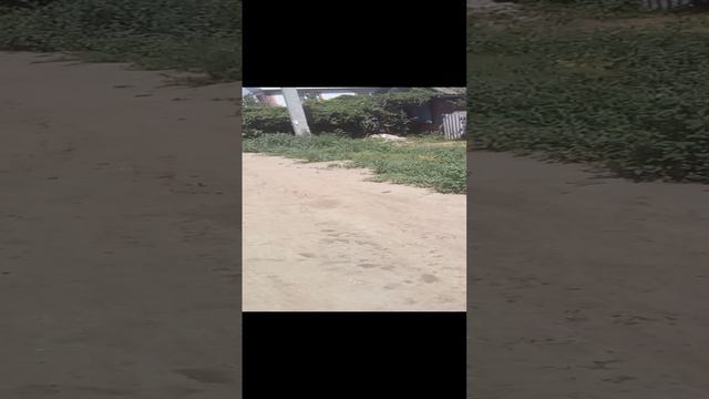 Иду по улице Мичурина