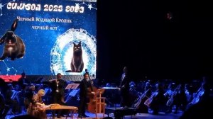 Японский музыкальный инструмент ,, Кото,, и флейта. Томская филармония.