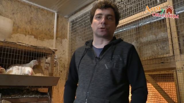 Ниппельные поилки, маленькие хитрости