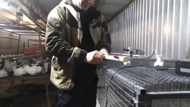 Установка автоматических поилок на откормочные клетки моей кроликофермы. смотреть онлайн