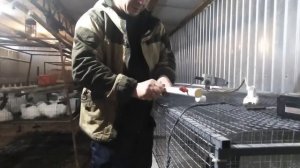 Установка автоматических поилок на откормочные клетки моей кроликофермы.