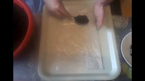 Пикировка рассады в "пеленки"