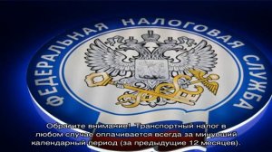 Срок уплаты транспортного налога