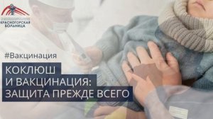 Коклюш — острое инфекционное заболевание дыхательных путей.