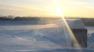 Low Roar - Easy Way Out (Music Video by KLUKVA)