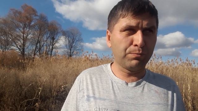 Чим замінити мінеральні добрива