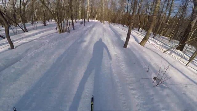 Парк Малевича, 3-х километровая лыжная трасса смотреть онлайн