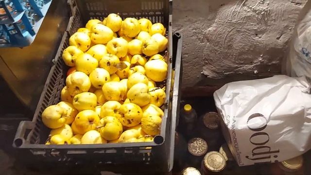 Как я всю зиму ем яблоки, собранные в саду и храню их до весны. смотреть онлайн