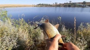 в поисках трафеев...