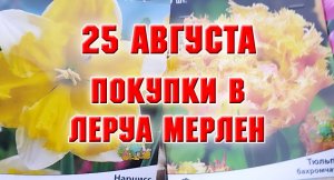 25 августа. Что купила в Леруа Мерлене