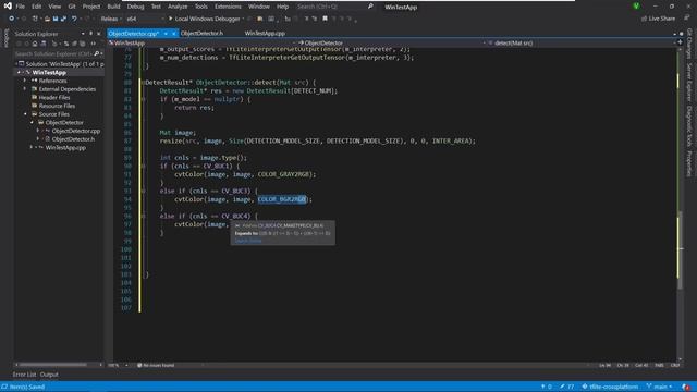 Object Detection using Tensorflow Lite C API on Windows смотреть онлайн