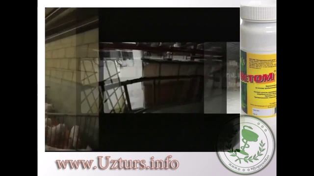 Бактерии bacillus subtilis в животноводстве