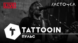 TattooIN - Пульс | клуб "Ласточка" СПб 20.04.2023