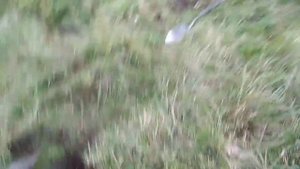 Тихон против тёрки.  Лучший металлоискатель.