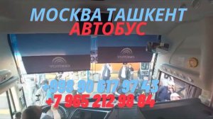 Москва Ташкент автобус. Прямой рейс. Без посредника #москва #ташкент #автобус #прямой #рейс #без